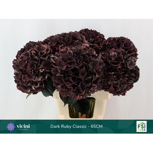 HYDR M MAG D RUBY CL