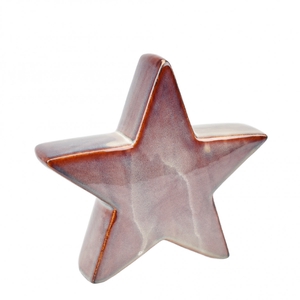 Christmas Deco star 21.5*5*20cm