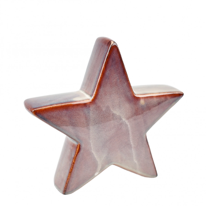 <h4>Christmas Deco star 21.5*5*20cm</h4>