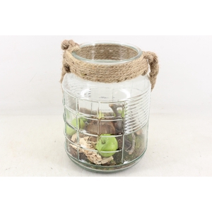 arr4 Amaryllis MB - Ruitglas L touw