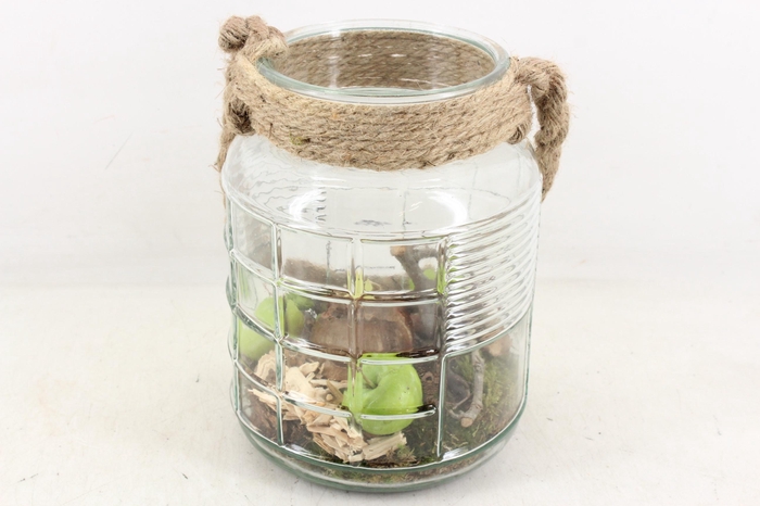 <h4>arr4 Amaryllis MB - Ruitglas L touw</h4>