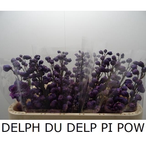 DELPH DU DELP PI POW