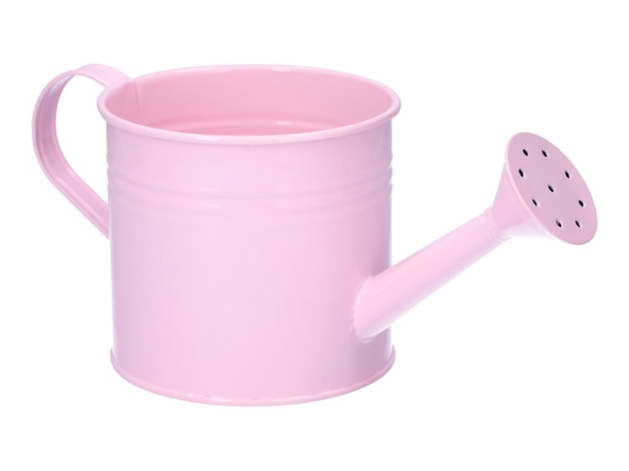 <h4>Watering can Maddock d12.5xh11.2 pi</h4>