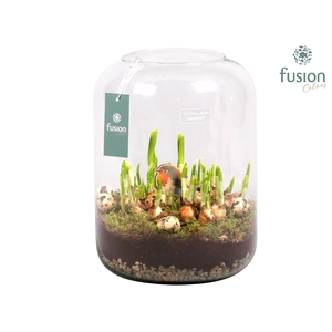 Green Bottle Isabella XLarge Pasen met Narcissen