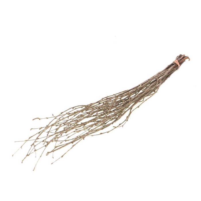 <h4>Birch 60cm Nat Gold Touch</h4>