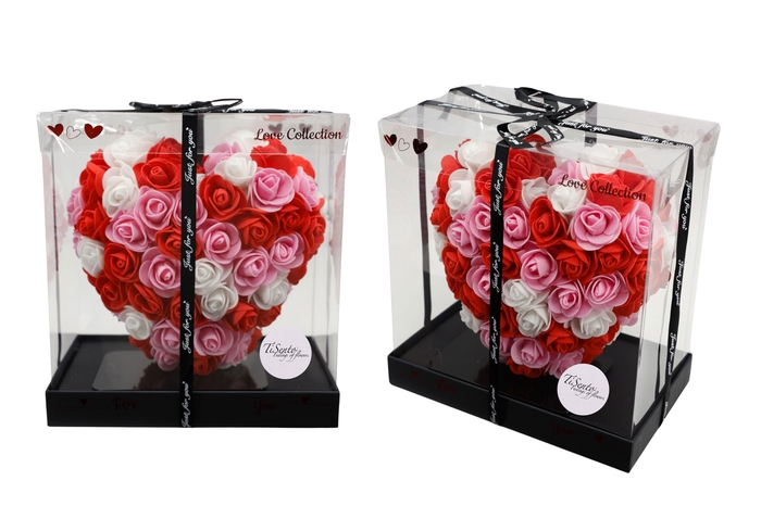 <h4>ARR ROSA POT H%</h4>