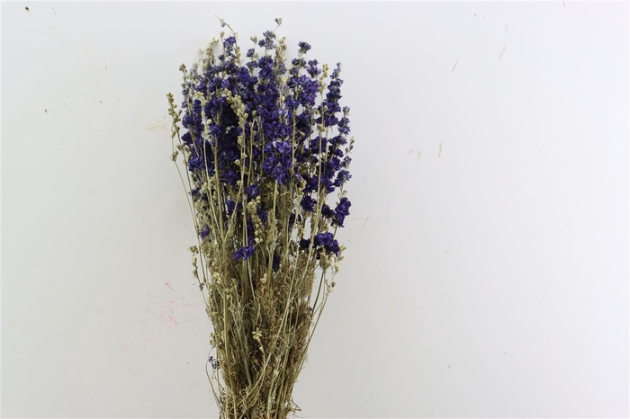 <h4>Dried Delphinium Blue Extra Bunch</h4>