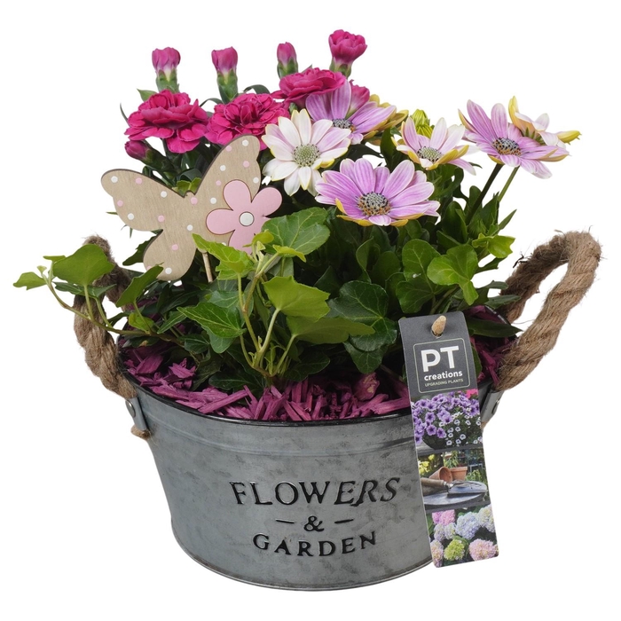 <h4>PTPP6908 Arrangement Patio in metalen schaal</h4>