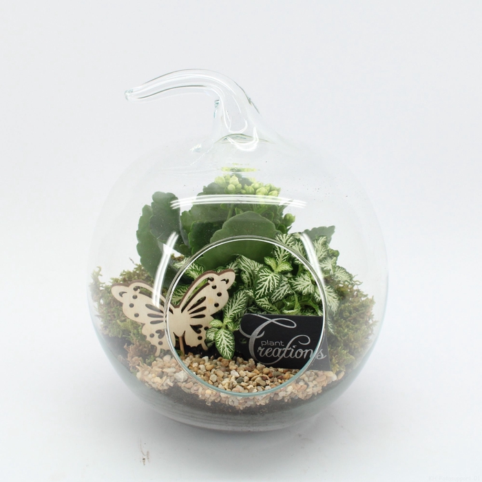 <h4>Opm ESCR-2502W Essentials Terrarium</h4>