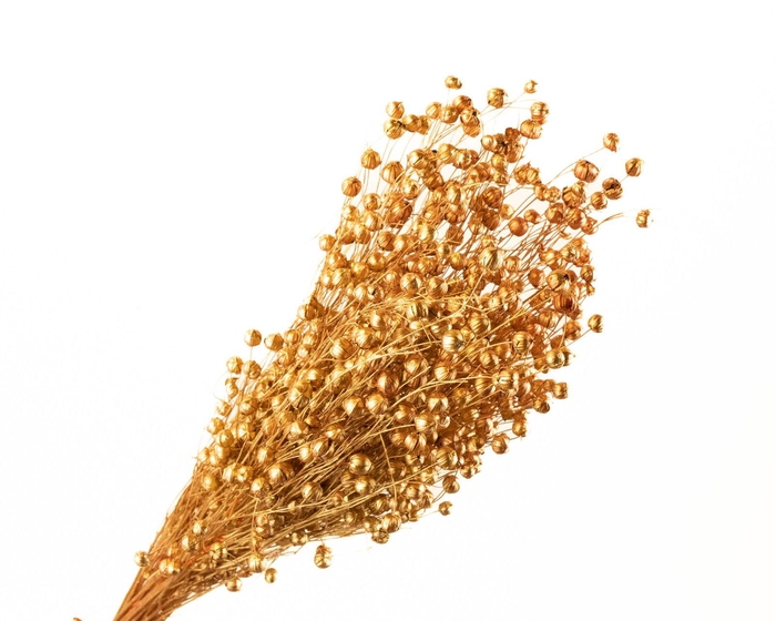 <h4>Lino Vlas Copper</h4>