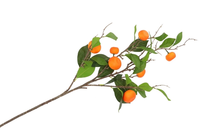 Silk Clementine Orange 90cm