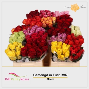 R GR GEM IN FUST