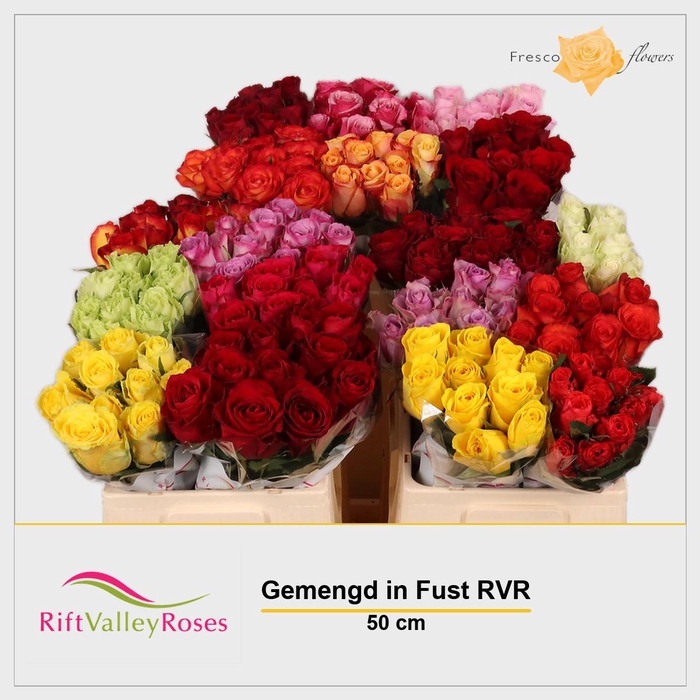 <h4>R GR GEM IN FUST</h4>