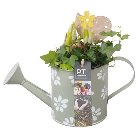 <h4>PTBM3758 Arrangementen Tuinplanten</h4>
