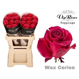 R GR WAX CERISE (60CM)