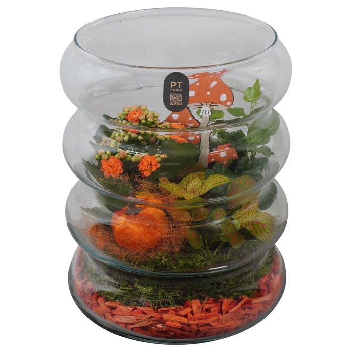 <h4>Arr.   Planten L%</h4>