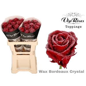 R GR WAX BORDEAUX CRYSTAL (60CM)