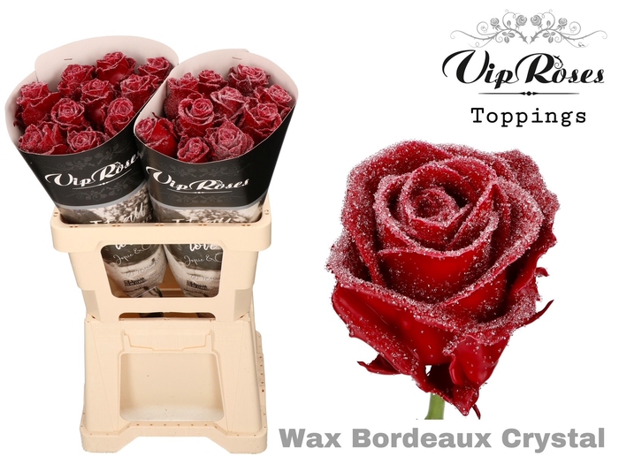 <h4>R GR WAX BORDEAUX CRYSTAL (60CM)</h4>