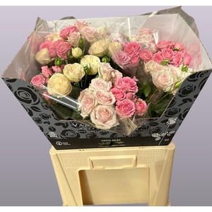 R Tr Mix In Bucket Hulst