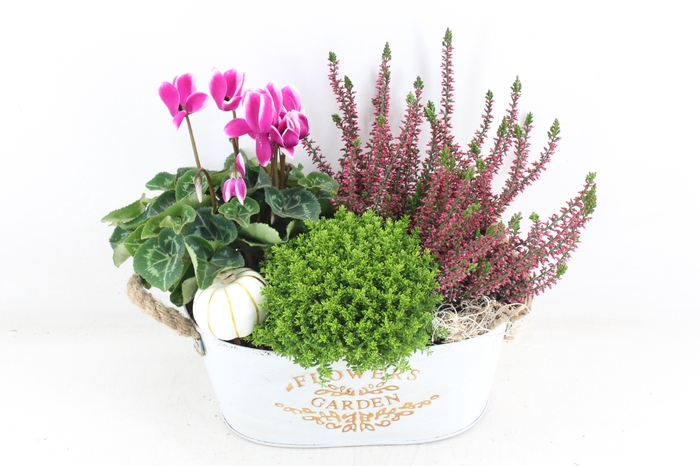 arr4 Outdoor VL - Zink ovaal flowers