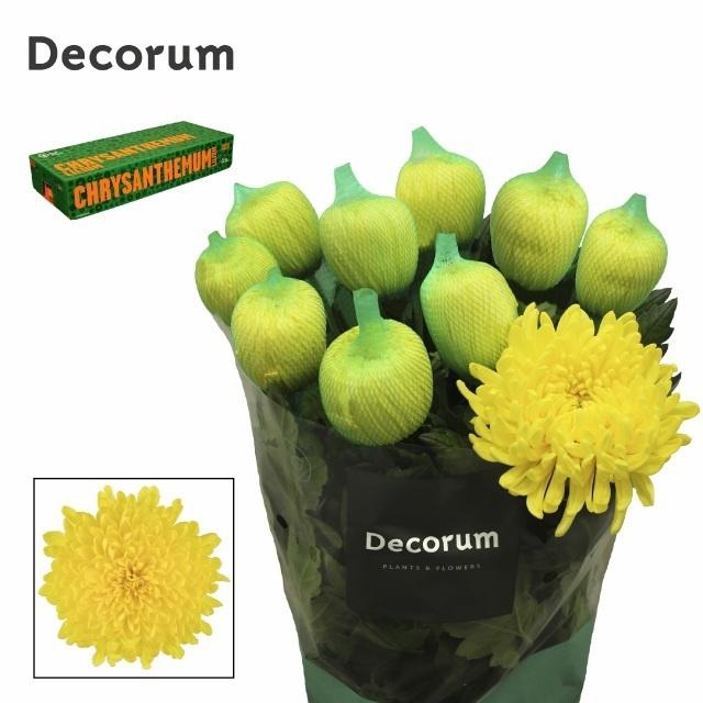 <h4>CHR G MARACUJA</h4>