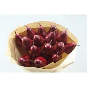Droog Peer Rood X15