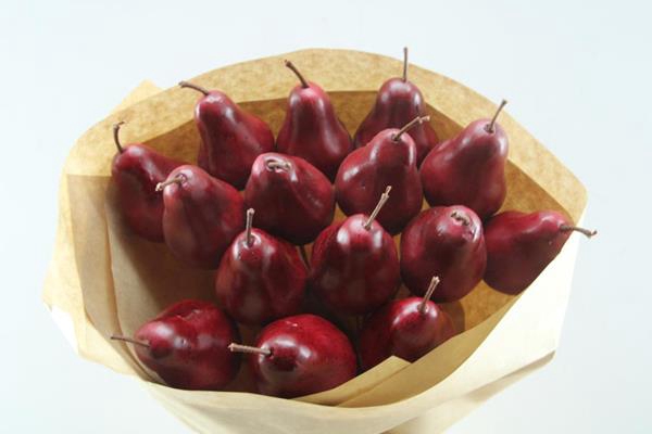 <h4>Droog Peer Rood X15</h4>