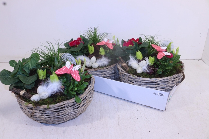 <h4>ARR TUINPLANTEN</h4>