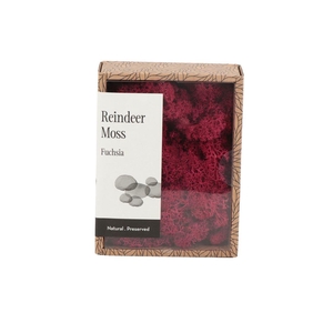 Ijslandmos (reindeer) Fuchsia - Box S