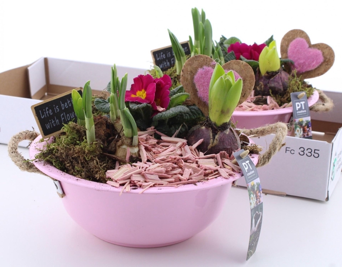 <h4>ARR PL IN SCHAAL</h4>