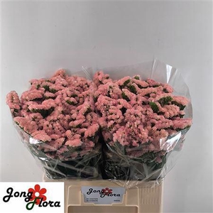 LIM S PEACH WINGS 60/40GR