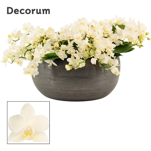 Nero table 12+ tak symphony Whitney (Deco-collection)