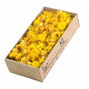 DRIED FLOWERS - HELICHRYSUM HEADS  100GR NATURAL YELLOW