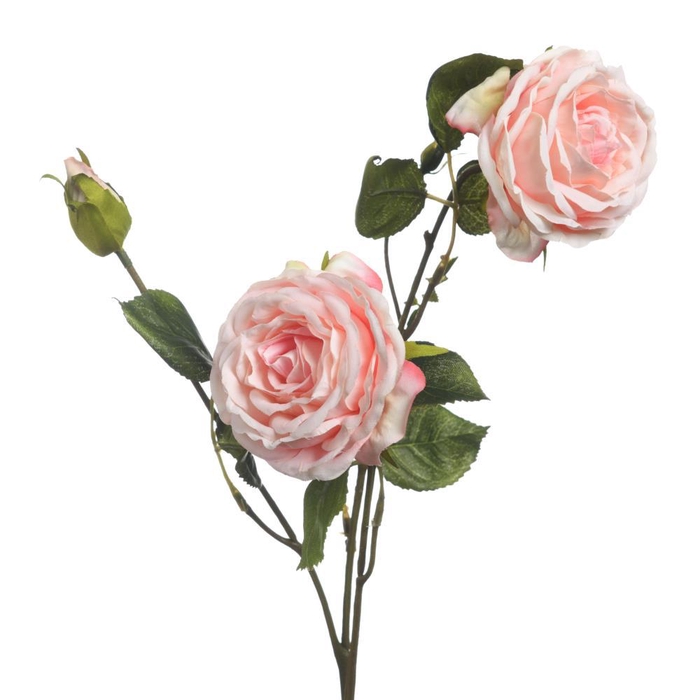 <h4>AF Rosa x3 L61cm L.Pink</h4>