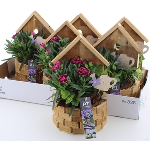 ARR TUINPLANTEN