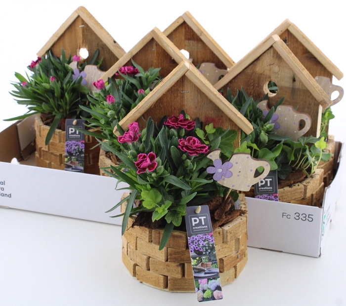 <h4>ARR TUINPLANTEN</h4>