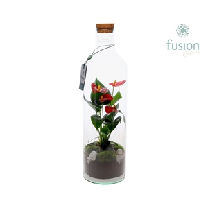 Green Bottle Fles Large met Anthurium