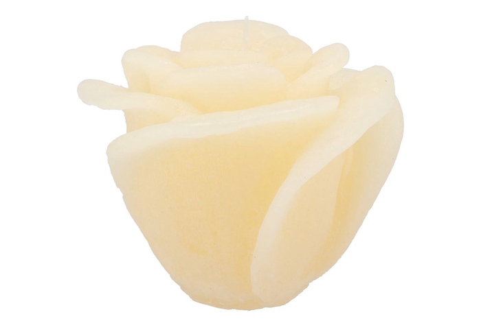 <h4>Candle Roos Ivory 14x12cm</h4>