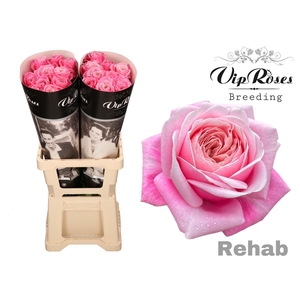R GR REHAB