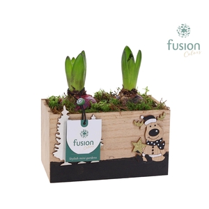 Kerst houten Rendier met Hyacinten