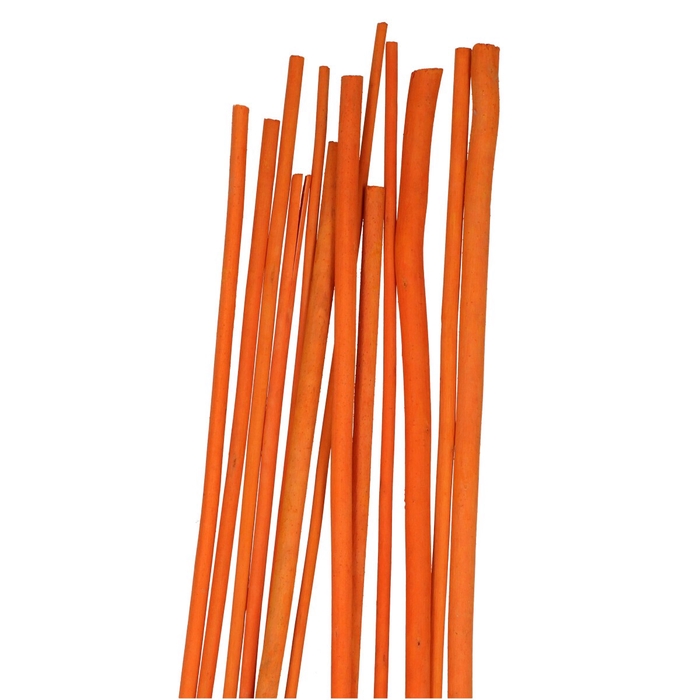 <h4>Droogdeco Bamboestok 100cm x20</h4>