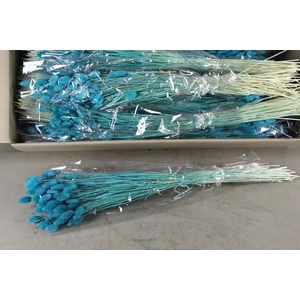 Df Phalaris Bs Turquoise 100g