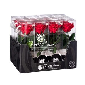 Display 20cm Stem Red02