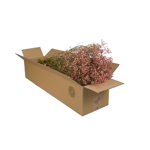 Droogbloemen-Gypsophila Pink Pastel