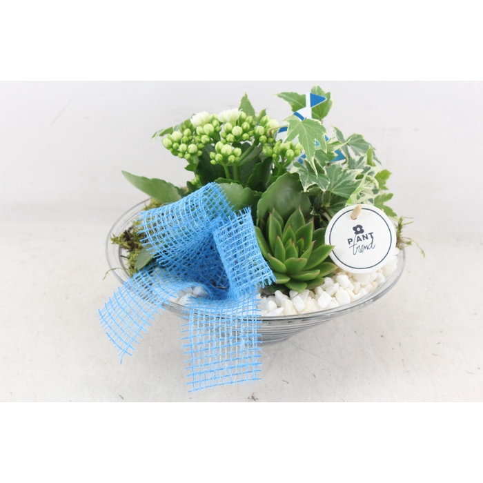<h4>Arr2 Pl - Glas Schaal 23cm Summer</h4>