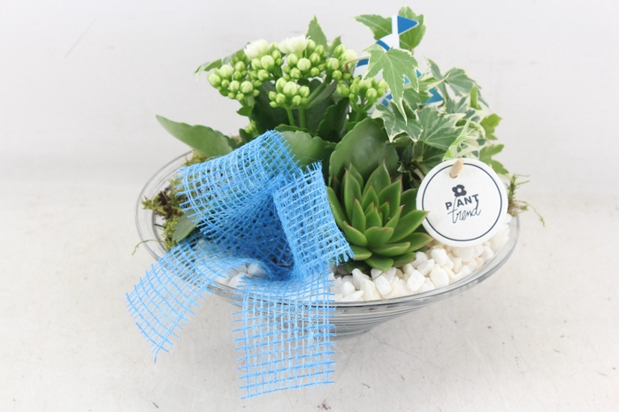 Arr2 Pl - Glas Schaal 23cm Summer