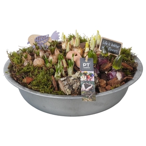 Arr.   Tuinplanten H%