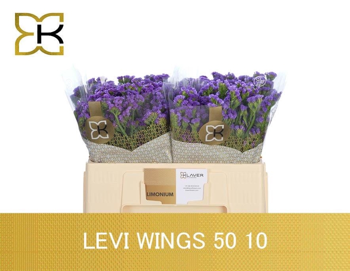 LIM S LEVIS WINGS