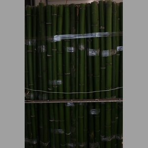 Bamboe 60-80 2meter