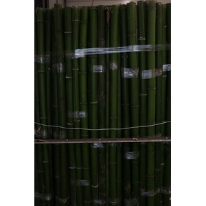 Bamboe 60-80 2meter